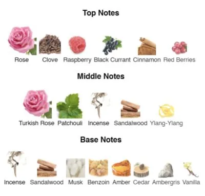 Нішевий парфумерний екстракт унісекс Feminine Portrait AVA-De Luxe NICHE PERFUME 100 ml AD-13