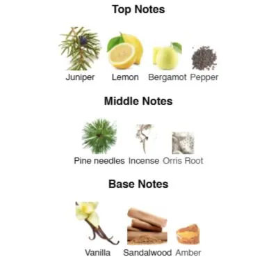 Нішевий парфумерний екстракт унісекс Flowing Freedom AVA-De Luxe NICHE PERFUME 100 ml AD-19