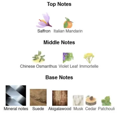 Нішевий парфумерний екстракт унісекс Gideon AVA-De Luxe NICHE PERFUME 100 ml AD-25