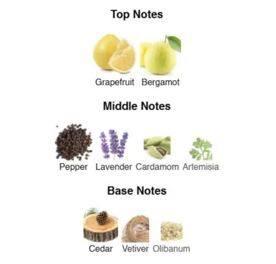 Нішевий парфумерний екстракт для чоловіків Skyline AVA-De Luxe NICHE PERFUME 100 ml AD-28