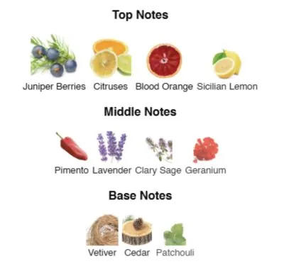 Нішевий парфумерний екстракт для чоловіків Royal Aroma AVA-De Luxe NICHE PERFUME 100 ml AD-37