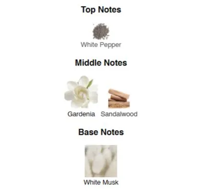 Нішевий парфумерний екстракт унісекс Musk Mirage AVA-De Luxe NICHE PERFUME 100 ml AD-03