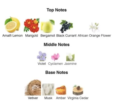 Нішевий парфумерний екстракт унісекс Sahara Serenade AVA-De Luxe NICHE PERFUME 100 ml AD-04