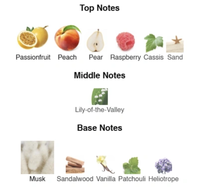 Парфумована вода унісекс Kirka Elixir ACCENT Alex Horse 50 ml AA-003