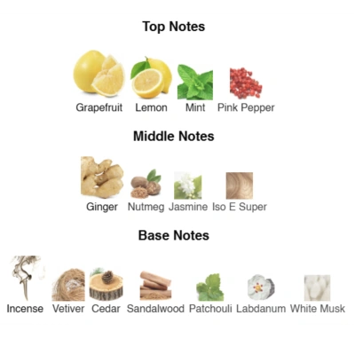 Парфумована вода для чоловіків Bleu de Aqua ACCENT Alex Horse 50 ml AA-009