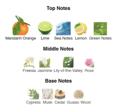 Парфумована вода для чоловіків Joyful Man ACCENT Alex Horse 50 ml AA-020