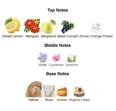 Парфумована вода унісекс Sahara Serenade ACCENT Alex Horse 50 ml AA-044