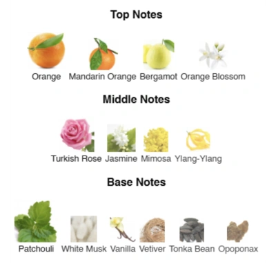 Парфюмированная вода для женщин Miss Elegance №49