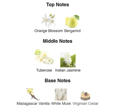 Парфумована вода для жінок Path to Me ACCENT Alex Horse 50 ml AA-054