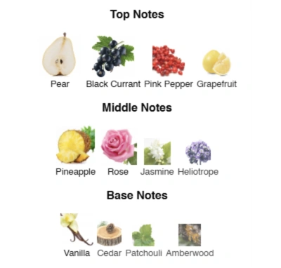 Парфумована вода для жінок Oui à la Passion ACCENT Alex Horse 50 ml AA-055