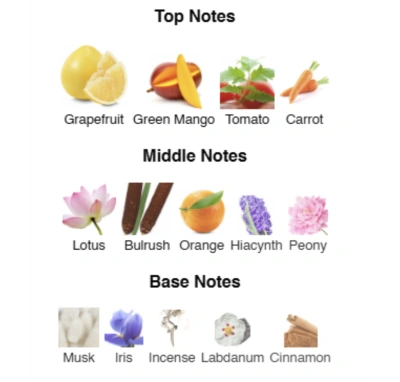 Парфумована вода унісекс Nile’s Embrace ACCENT Alex Horse 50 ml AA-062