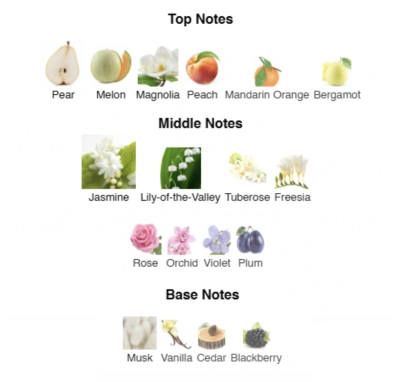 Парфумована вода для жінок I Adore ACCENT Alex Horse 50 ml AA-063