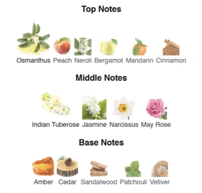 Парфумована вода для жінок Bad Girl’s Allure ACCENT Alex Horse 50 ml AA-067