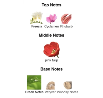 Парфюмированная вода для женщин Radiant Tulip №69