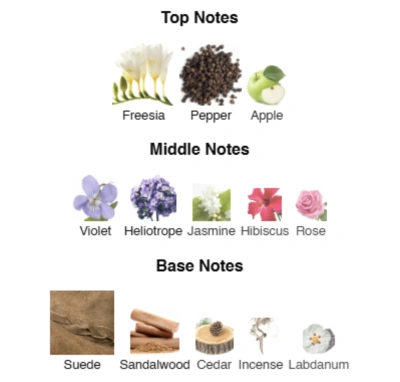 Парфюмированная вода для женщин Active Grace №70