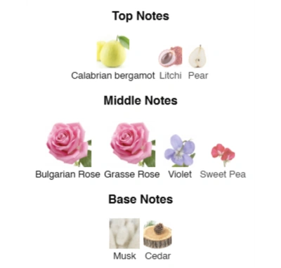 Парфюмированная вода для женщин Eternal Rose №74