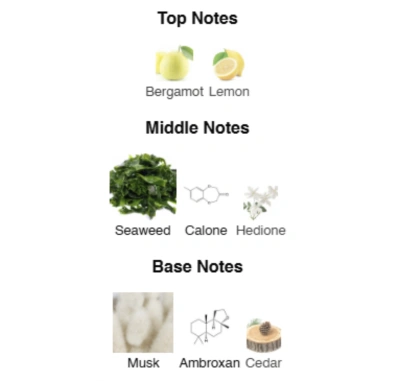 Парфумована вода унісекс Endless Sea ACCENT Alex Horse 50 ml AA-082