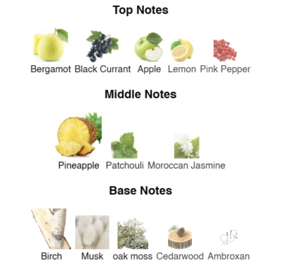 Парфумована вода для хлопчиків Champion ACCENT Alex Horse 50 ml AA-097