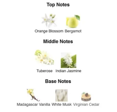 Нішевий парфумерний екстракт для жінок Path to Me AVA-De Luxe NICHE PERFUME 100 ml AD-14