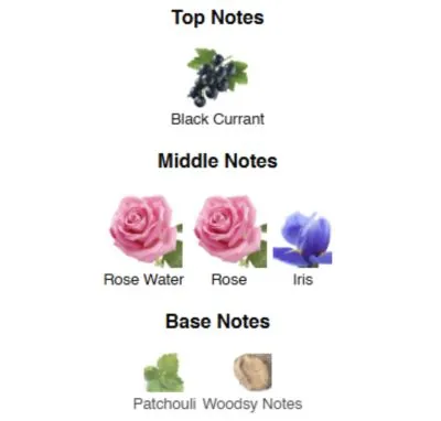 Нішевий парфумерний екстракт для жінок Irresistible to … AVA-De Luxe NICHE PERFUM 100 ml AD-15