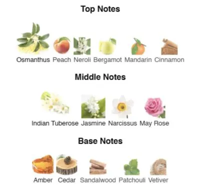 Нішевий парфумерний екстракт для жінок Bad Girl’s Allure AVA-De Luxe NICHE PERFUME 100 ml AD-20