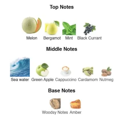 Нішевий парфумерний екстракт для чоловіків Bold Seduction AVA-De Luxe NICHE PERFUME 100 ml AD-27