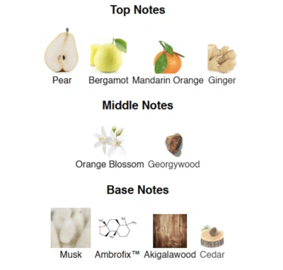 Парфумована вода унісекс Aqua Amulet ACCENT Alex Horse 50 ml AA-002