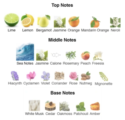 Парфюмированная вода для мужчин Agua de Alegría №10