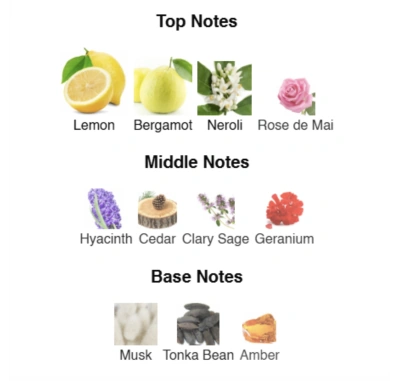 Парфюмированная вода для мужчин Valiant №11