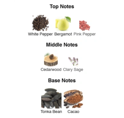 Парфюмированная вода для мужчин Rebel Boy №16