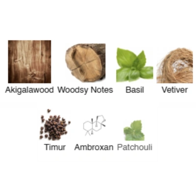 Парфумована вода унісекс Bois Mystique ACCENT Alex Horse 50 ml AA-018