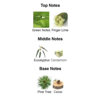 Парфюмированная вода для мужчин White Energy №19