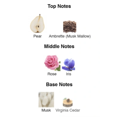 Парфумована вода для жінок Irresistible to … ACCENT Alex Horse 50 ml AA-056