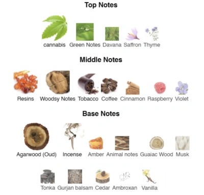 Парфумована вода унісекс Enigmatic Aroma ACCENT Alex Horse 50 ml AA-081