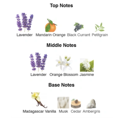 Парфумована вода для жінок Bold Freedom ACCENT Alex Horse 50 ml AA-093