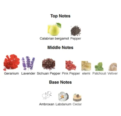 SAVAGE SPIRIT EAU DE TOILETTE Men 100 ml CSB-100