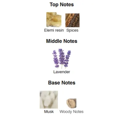 SAVAGE SPIRIT EAU FORTE Men 100 ml CSB-100