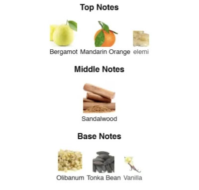 SAVAGE SPIRIT PARFUM Men 55 ml CS-55